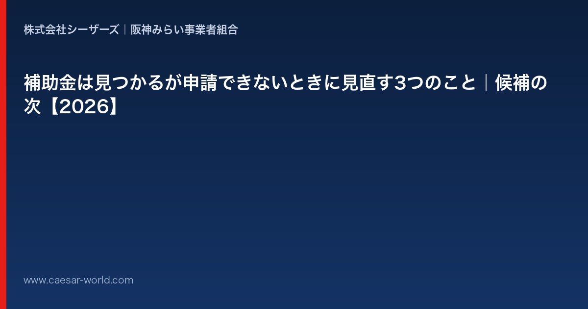 補助金は見つかるが申請できないときに見直すこと